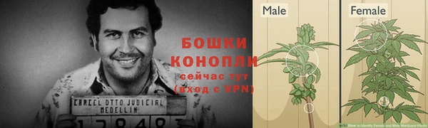 бутират Арсеньев