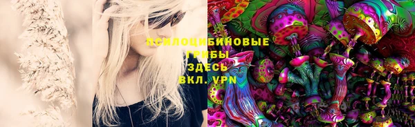 марки nbome Аркадак