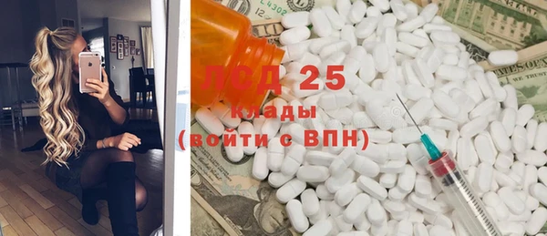 индика Приозерск
