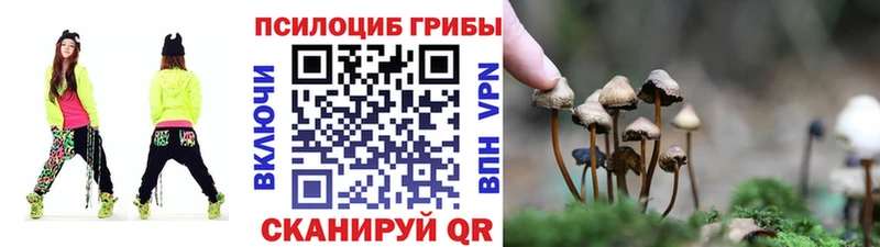 Псилоцибиновые грибы прущие грибы  Болхов 